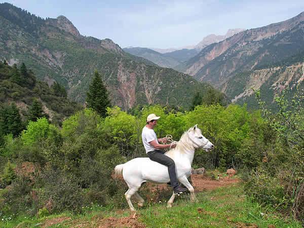 Готель To Panorama Agrafa Екстер'єр фото